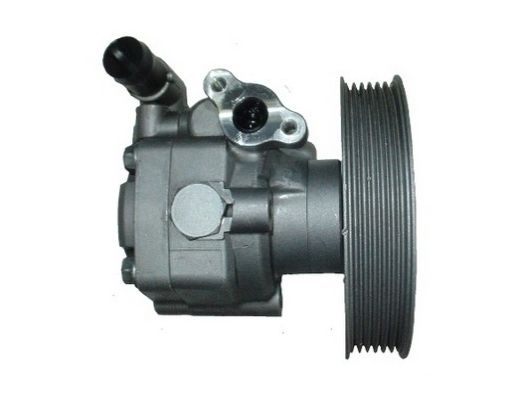 Spidan 54441 Hydraulikpumpe, Lenkung