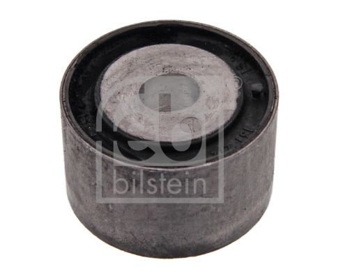 febi Bilstein 10843 Lagerung, Differential