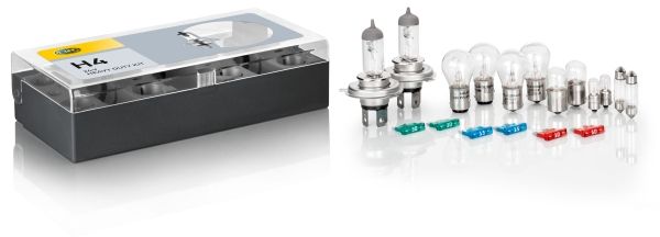 HELLA 8GJ 002 525-941 Sortiment, Glühlampen