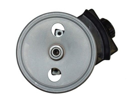Spidan 53643 Hydraulikpumpe, Lenkung