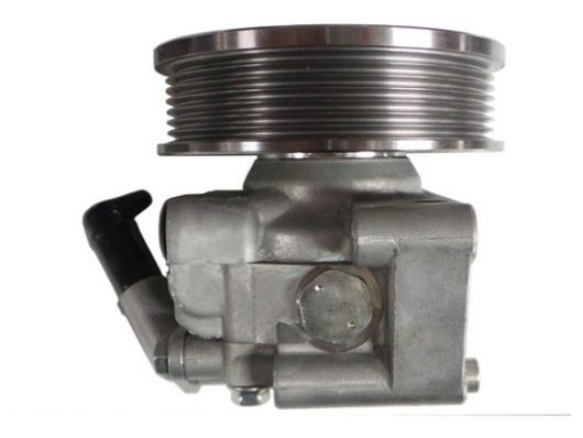 Spidan 54643 Hydraulikpumpe, Lenkung