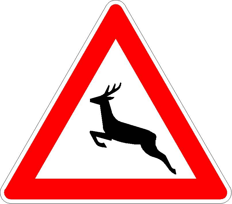 Verkehrszeichen Wildwechsel, Aufstellung rechts