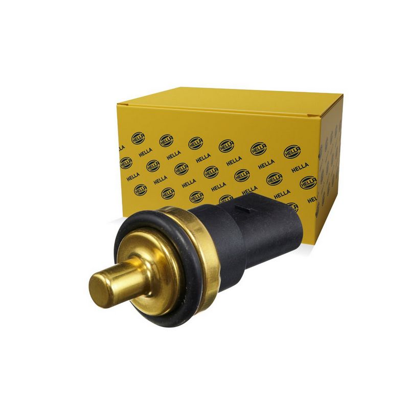 HELLA 6PT 009 309-331 Sensor