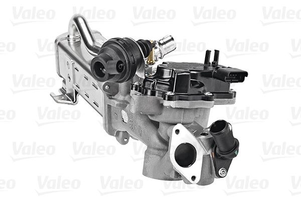 Valeo 700441 AGR-Modul