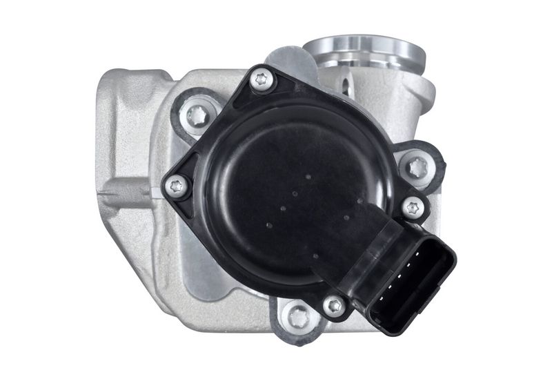 HELLA 6NU 010 171-111 AGR-Ventil mit Dichtung