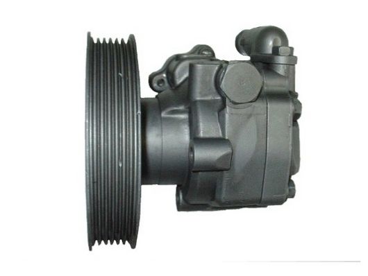 Spidan 54441 Hydraulikpumpe, Lenkung