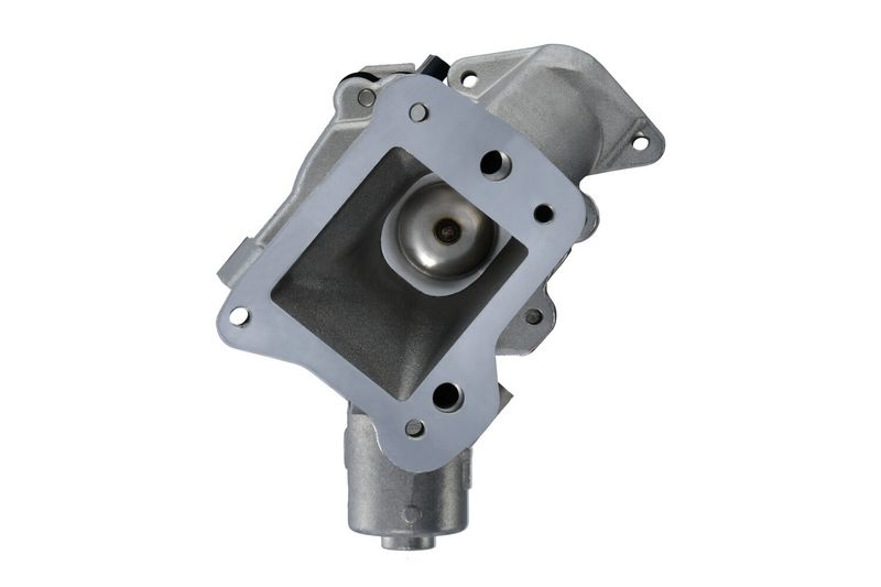 HELLA 6NU 010 171-231 AGR-Ventil