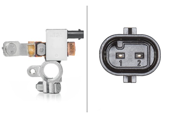 HELLA 6PK 010 557-911 Sensor, Batteriemanagement - 12V - geschraubt