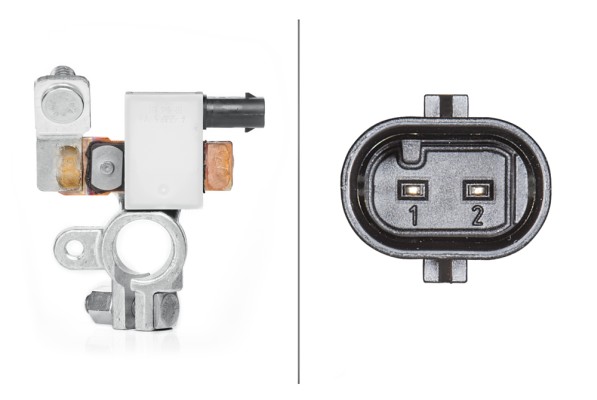 HELLA 6PK 010 557-901 Sensor, Batteriemanagement - 12V - geschraubt