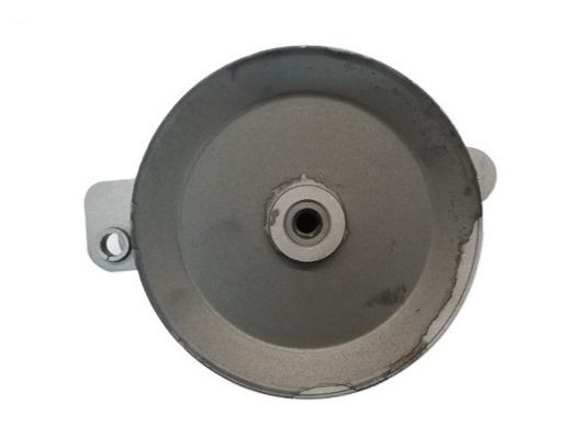 Spidan 53541 Hydraulikpumpe, Lenkung
