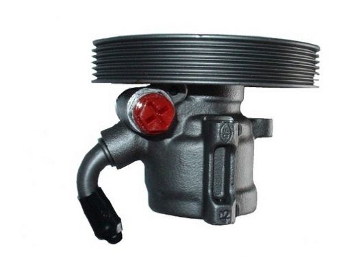 Spidan 54343 Hydraulikpumpe, Lenkung