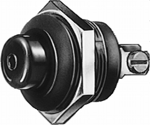 HELLA 6JF 001 571-001 Zünd-/Startschalter - S29 - Druckbetätigung - Anschlussanzahl: 2 - geschraubt