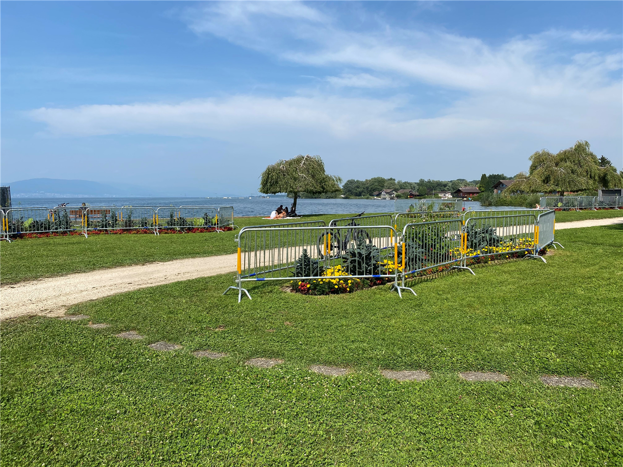 8d62c36d-c475-4a3b-a89e-77cbc81c73ce