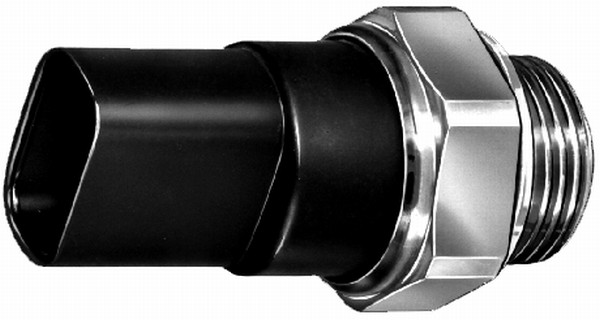 HELLA 6ZT 007 807-001 Temperaturschalter, Kühlerlüfter - 12V - Anschlussanzahl: 2 - Flachstecker - S