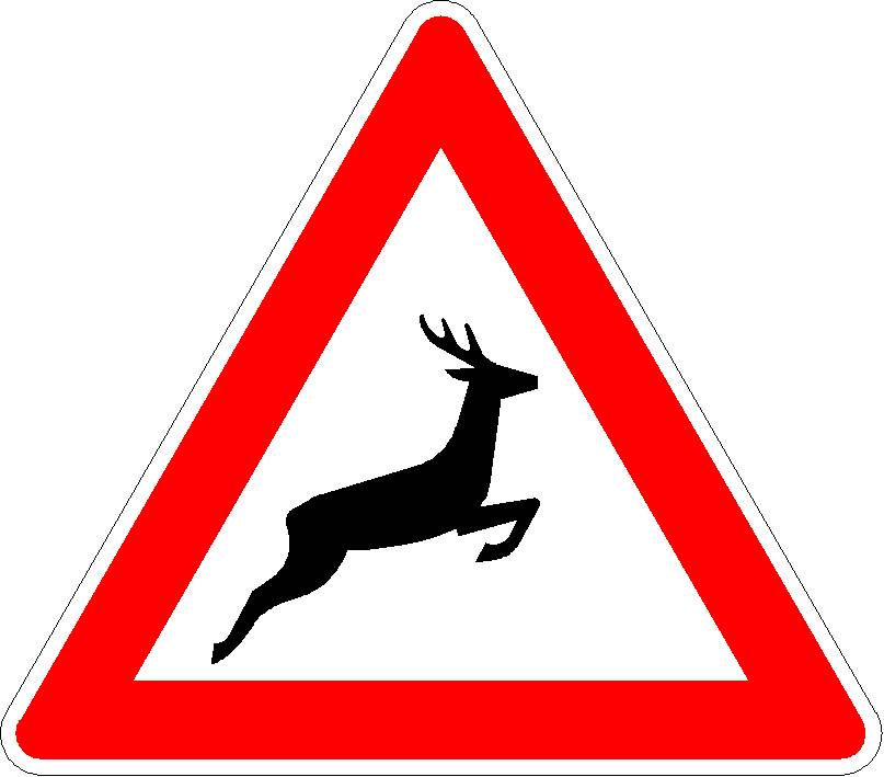 Wildwechsel, Aufstellung links