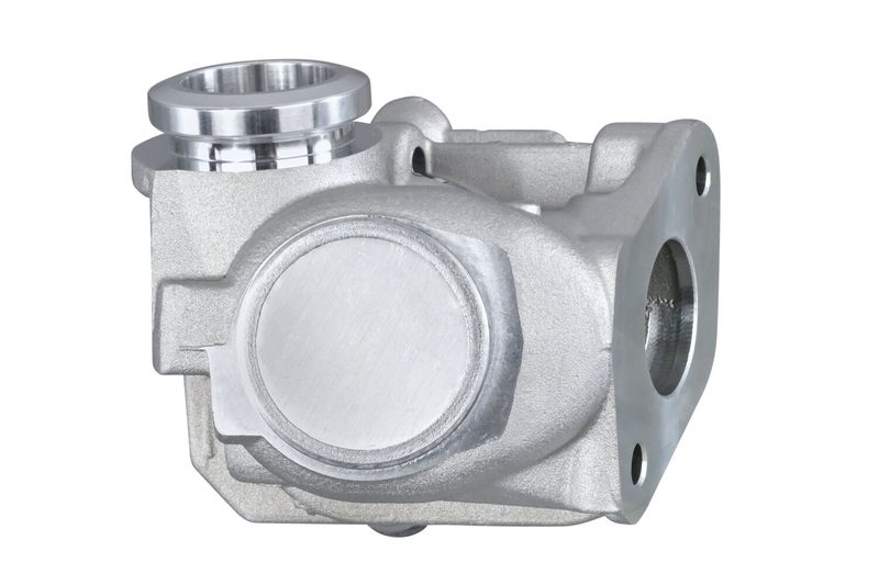 HELLA 6NU 010 171-111 AGR-Ventil mit Dichtung